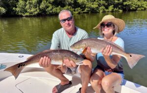 Redfish and snook are coming on strong.